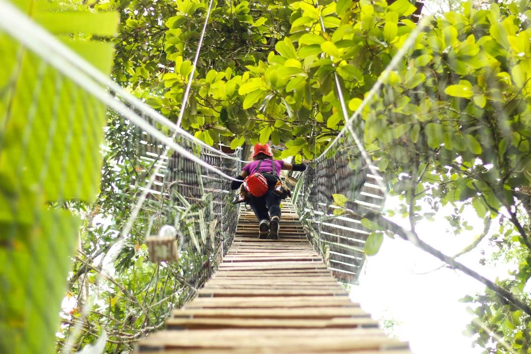 Ceibo Tree Climbing Tour