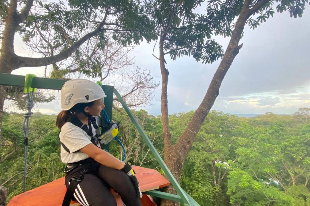 Walk in the Jungle and Climb the Ceibo Tree